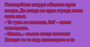 Read more about the article Полицейски патрул обикаля…