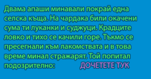Read more about the article Двама апаши минавали…