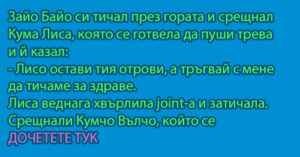 Read more about the article Вицове за Зайо Байо 5