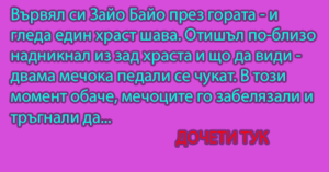 Read more about the article Вицове за Зайо Байо 3