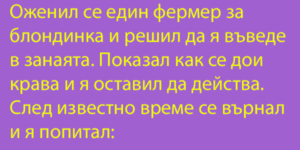 Read more about the article Вицове та дрънкат