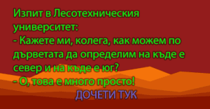 Read more about the article Изпит в Лесотехническия…