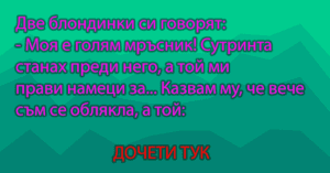 Read more about the article Две блондинки си говорят…