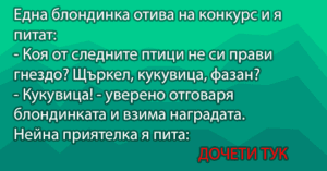 Read more about the article Една блондинка отива на…