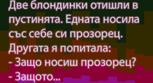 Read more about the article От вицефабриката