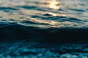 Read more about the article Океаните съдържат различни вируси
