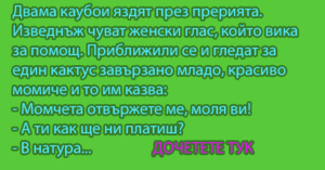 Read more about the article Двама каубои яздят през…