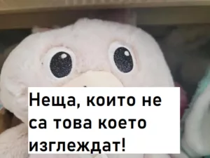 Read more about the article Неща, които не са това което изглеждат!