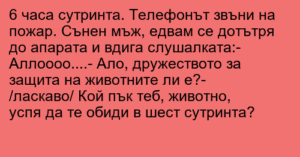 Read more about the article 6 часа сутринта. Телефонът звъни на…