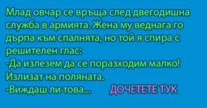Read more about the article Млад овчар се връща…