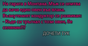 Read more about the article На гарата в Монтана. Мъж се опитва