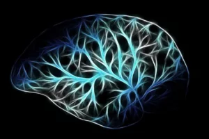 Read more about the article Учени създадоха карта на мозъка на насекомо! (Видео)