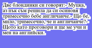 Read more about the article Две блондинки си говорят:- Муцка,…