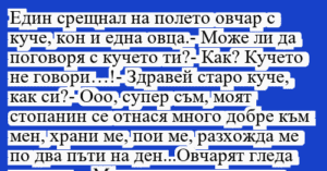 Read more about the article Един срещнал на полето овчар с…