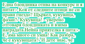 Read more about the article Една блондинка отива на конкурс и я…