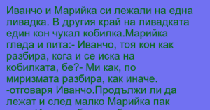Read more about the article Иванчо и Марийка си лежали на една…