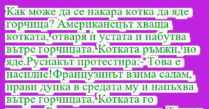 Read more about the article Как може да се накара котка да яде…