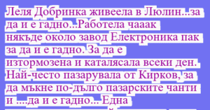 Read more about the article Леля Добринка живеела в Люлин…за…