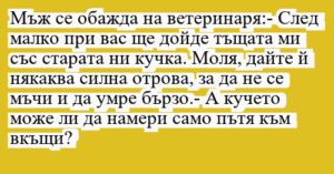 Read more about the article Мъж се обажда на ветеринаря:- След…
