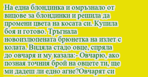 Read more about the article На една блондинка и омръзнало от…