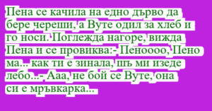 Read more about the article Пена се качила на едно дърво да…