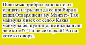 Read more about the article Пиян мъж прибрал едно коте от…