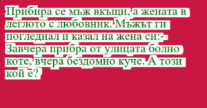 Read more about the article Прибира се мъж вкъщи, а жената в…