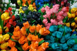 Read more about the article Знаете ли тези неща за изкуствените цветя?