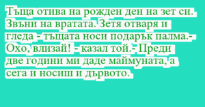 Read more about the article Тъща отива на рожден ден на зет си….