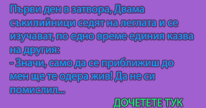Read more about the article Първи ден в затвора, Двама съкилийници седят