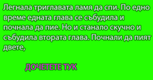 Read more about the article Легнала триглавата ламя да спи. По едно