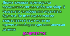 Read more about the article Двама полицаи партньори са повикани по сигнал