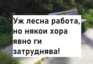 Read more about the article Уж лесна работа, но някои хора явно ги затруднява!