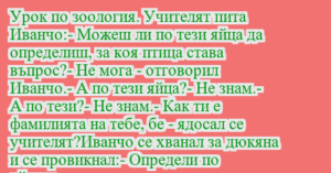Read more about the article Урок по зоология. Учителят пита…