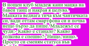 Read more about the article В нощен клуб младеж кани мацка на…