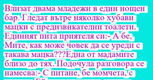 Read more about the article Влизат двама младежи в един нощен…