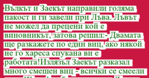 Read more about the article Вълкът и Заекът направили голяма…