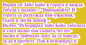 Read more about the article Върви си Зайо Байо в гората и вижда…