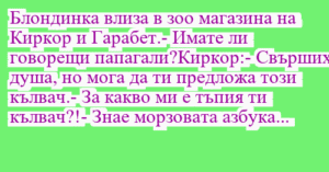 Read more about the article Блондинка влиза в зоо магазина на…