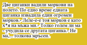Read more about the article Две циганки вадили моркови на…