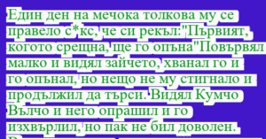 Read more about the article Един ден на мечока толкова му се…