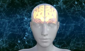 Read more about the article Невероятно! Учени откриват, че мозъците ни са по-мощни, отколкото сме мислили!