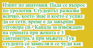 Read more about the article Изпит по анатомия. Пада се въпрос…