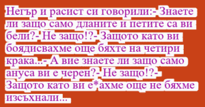 Read more about the article Негър и расист си говорили:- Знаете…