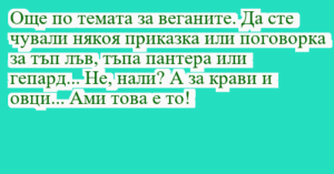Read more about the article Още по темата за веганите. Да сте…