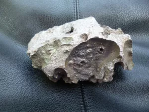 Read more about the article Изумително! Метеорит прониква през покрива на къща в Ню Джърси!