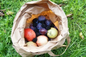 Read more about the article Ябълките и къпините могат да помогнат за намаляване на отпадналост!