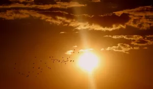 Read more about the article Учените разбраха как звучи Слънцето!