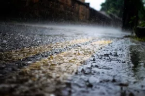 Read more about the article Учените твърдят, че хората имат способността да “помиришат” дъжда, преди да е заваляло!