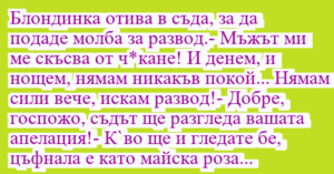 Read more about the article Блондинка отива в съда, за да…